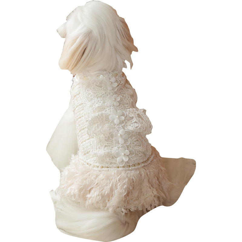 Autumn and Winter Princess Wind Warm Pet Clothes Dog Bear Teddy Small and Medium Dog Xiaoxiangfeng Skirt
